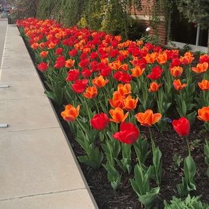 Meet your Posher, Patricia